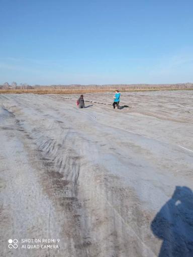 Готовим клубнику к зиме