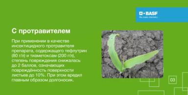 Эффективность ПОНЧО® против листогрызущих вредителей