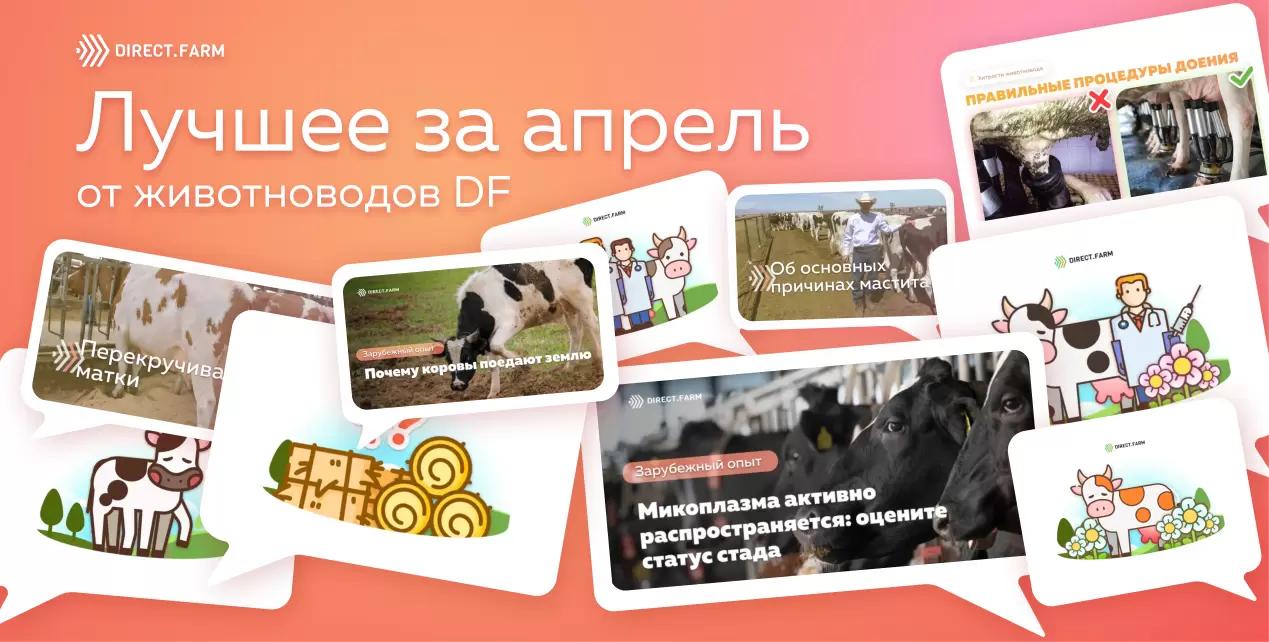 ТОП-10 статей от животноводов DF за апрель