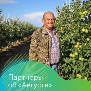 Партнеры об «Августе»