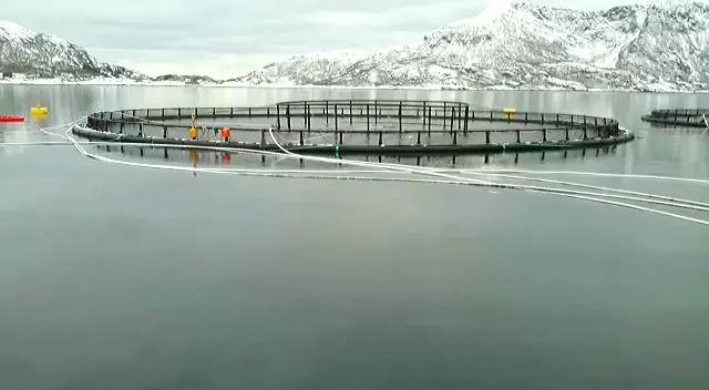 Кооперация