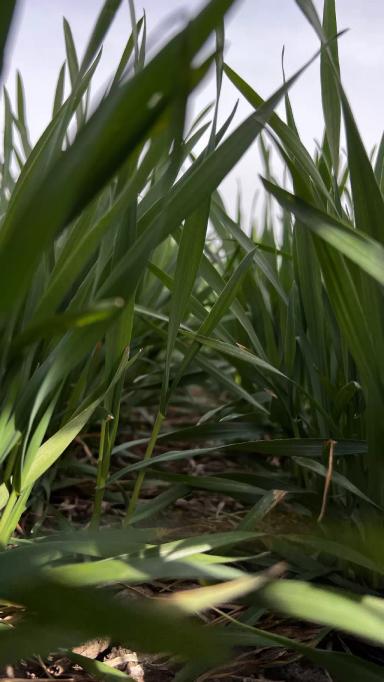 А чем сейчас работать?