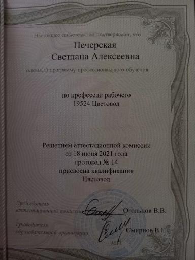 Резюме: Девушка, 20 лет