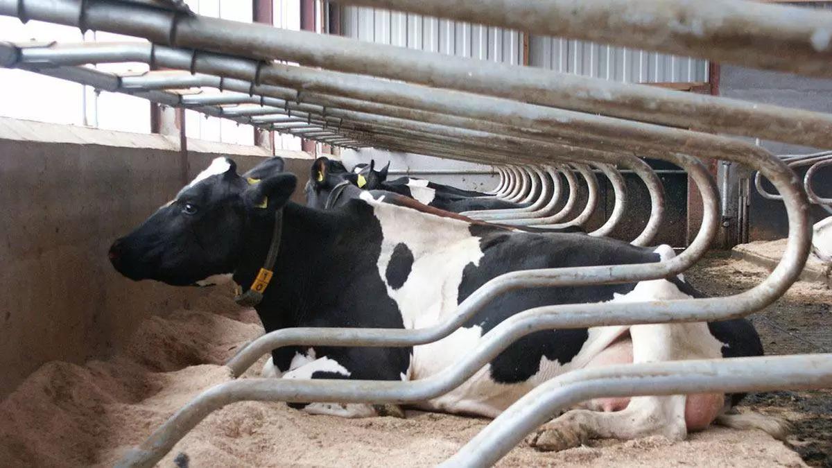 Оценка теплового стресса и эффективности защиты от него