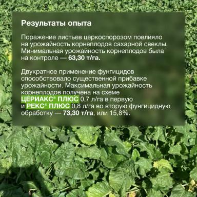 Доказано в поле