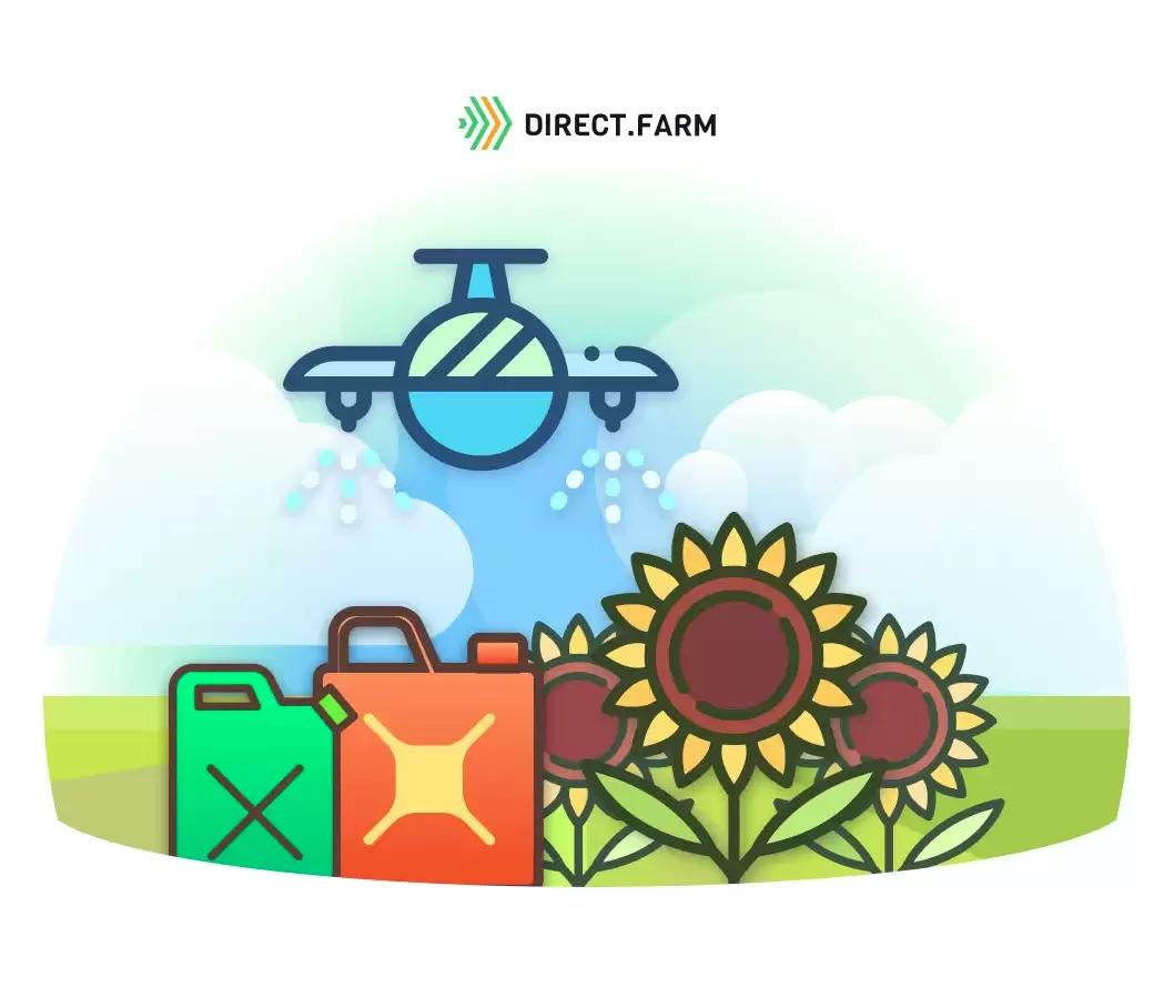 Как влияет десикация на качество семян кондитерского подсолнечника?