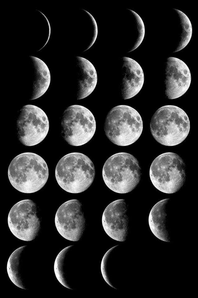 Фазы Луны🌒 при посеве подсолнечника