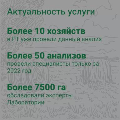 🌾 Как определить дефицит питания у растений? 