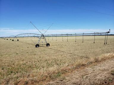 Круговая дождевальная машина Каскад 364 метра