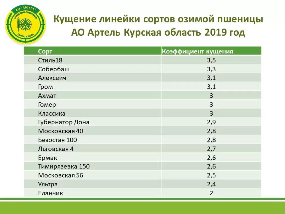 Кущение озимой пшеницы