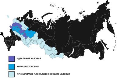 Русский лён. Как обогнать Францию с КНР и вернуть себе мировое лидерство
