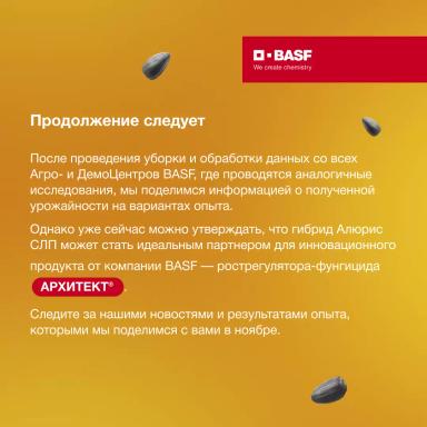 Рост и развитие подсолнечника в зависимости от норм высева