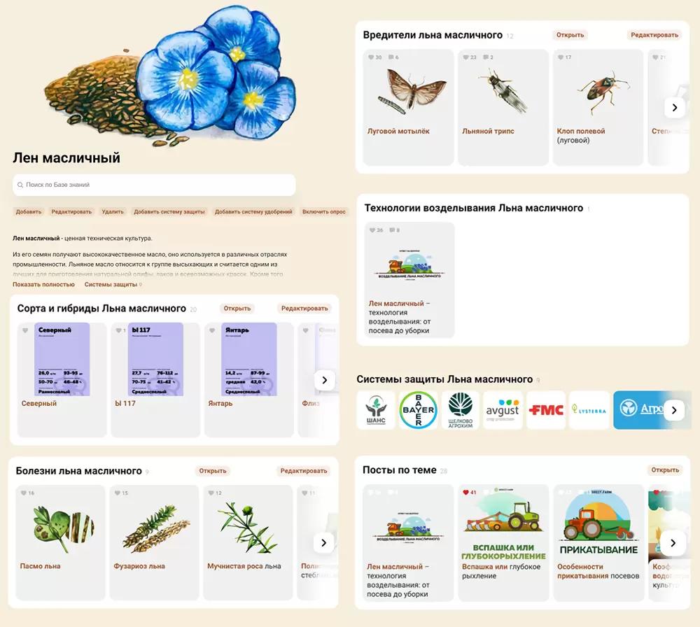 Лён масличный: сорта, болезни, вредители, технологии