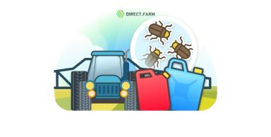 Хлебная полосатая блошка - меры борьбы