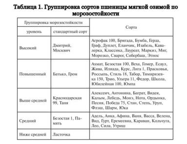 Влияние отдельных органов растений на урожайность