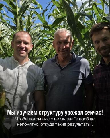 Отечественная кукуруза: промежуточные результаты.