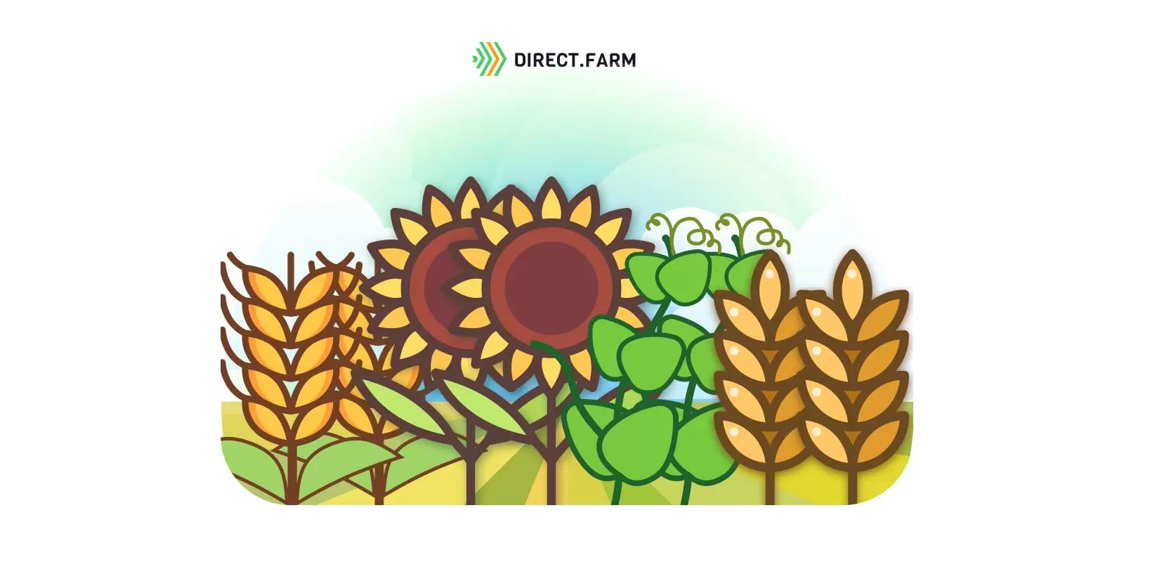 Севооборот без пара