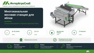 Многоканальная весовая станция для яблок