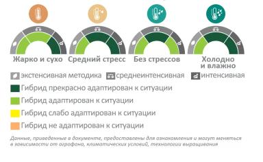 ЕС Белфис (ES BELFIS)