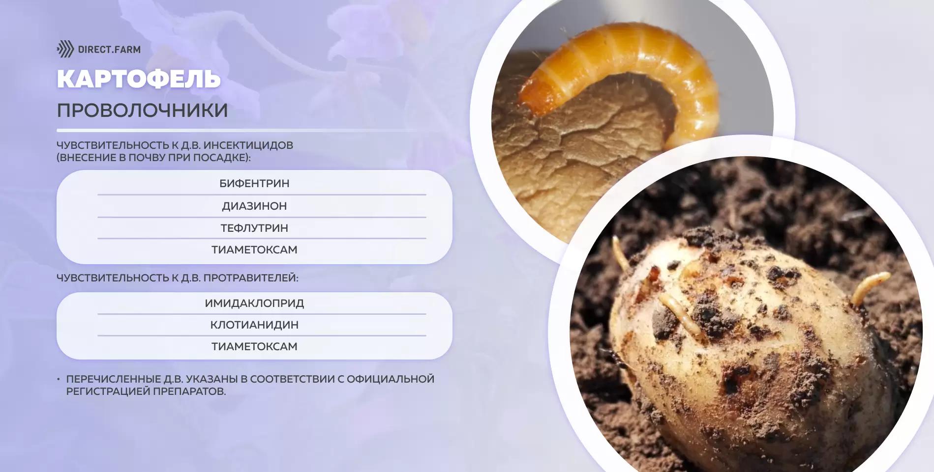 Шпаргалка д.в. против проволочников