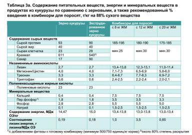 Кормление свиней рационами с кукурузой