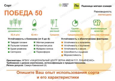 Победа 50 сорт пшеницы мягкой озимой
