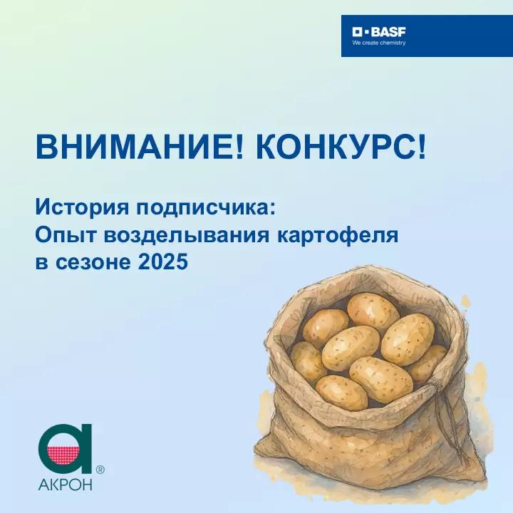 Конкурс в Telegram