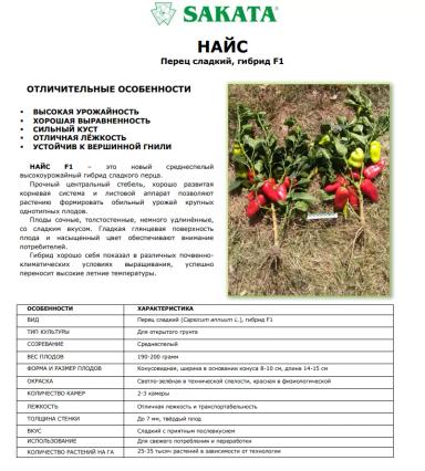 Найс F1 (NICE)