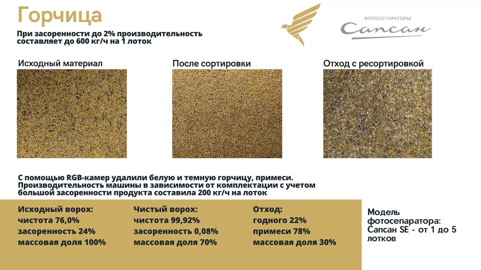 Очистка и сортировка горчицы на фотосепараторе Сапсан - видео и протокол.