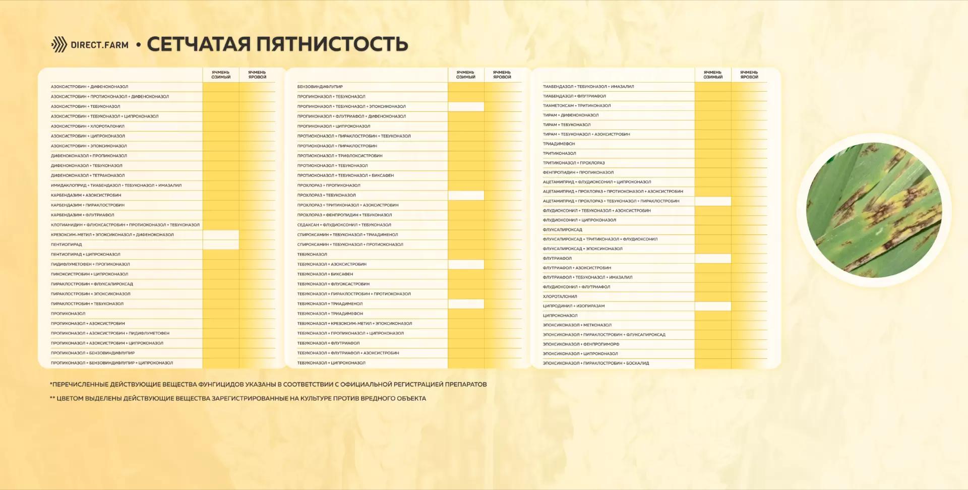 Шпаргалка д.в. против сетчатой пятнистости