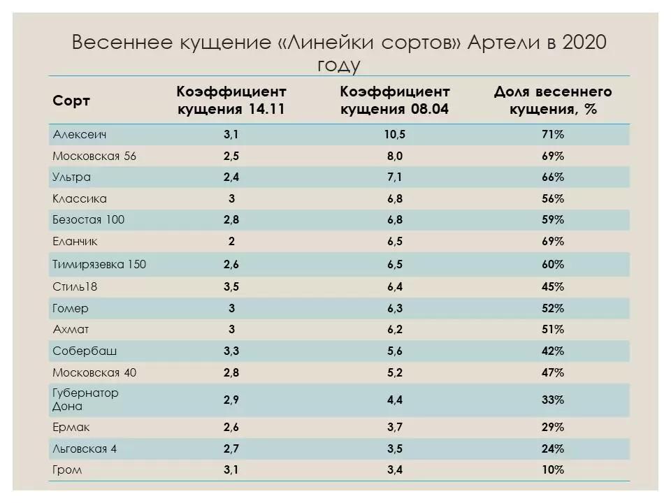 Весеннее кущение сортов центральной полосы