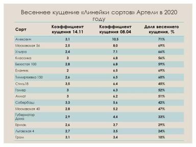 Весеннее кущение сортов центральной полосы