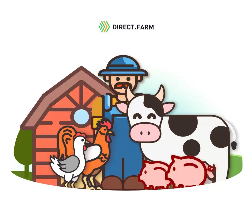 Рекомендации по управлению фермой