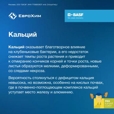 PROкачай сою! Признаки дефицита элементов питания при возделывании сои