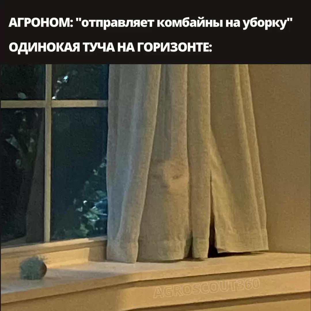 Когда распогодилось и немного продуло...