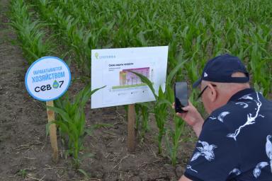 С большим успехом прошел первый День Поля на Агрополигоне «Приволжье».