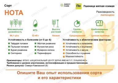 Нота ® сорт мягкой озимой пшеницы
