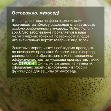 Сохранить урожай и его презентабельный вид
