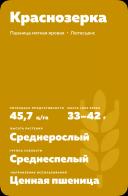 Краснозерка сорт мягкой яровой пшеницы
