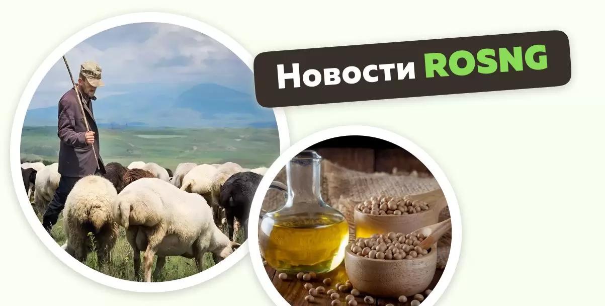 Обзор новостей за 21 ноября