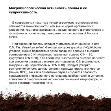 Обыкновенная корневая гниль: роль почвы