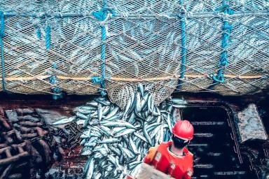 Обзор новостей за 18 июня