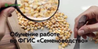 Где пройти обучение работе во ФГИС «Семеноводство»?