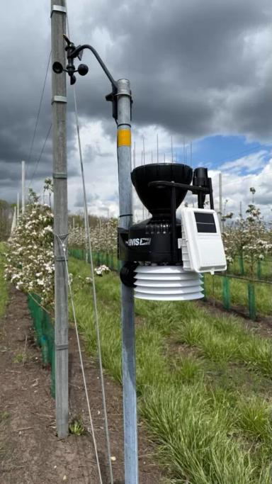 Измеряйте погоду  💨   🌧️  там, где это важно - метеостанции Davis