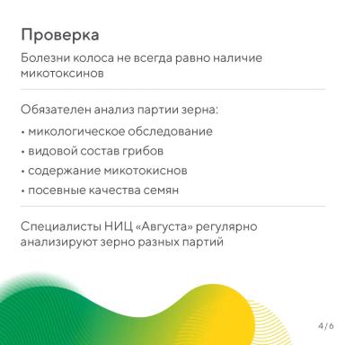 Внимание, микотоксины!