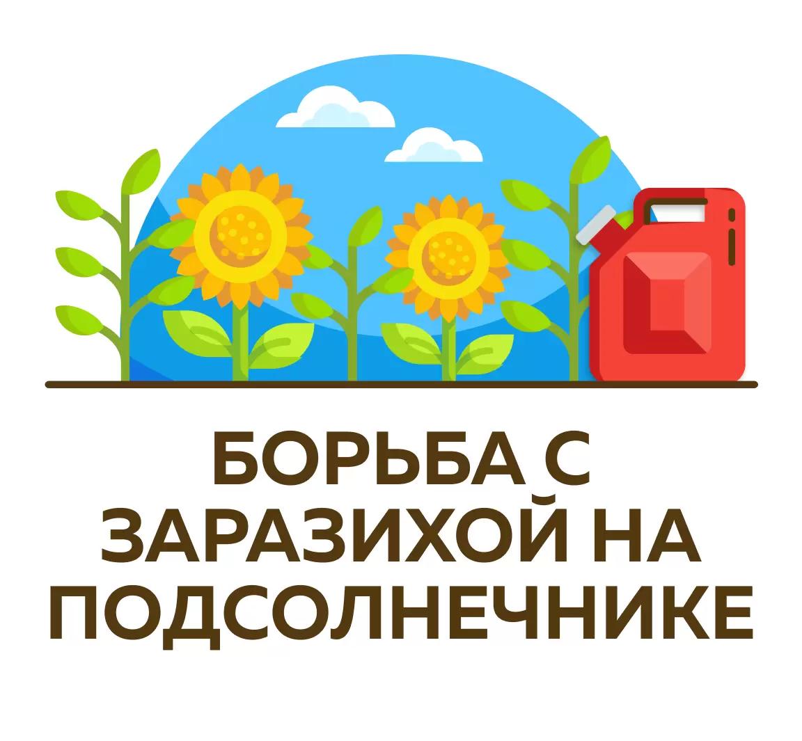 Как бороться с заразихой?