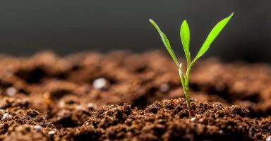 Кислотность почвы pH важно