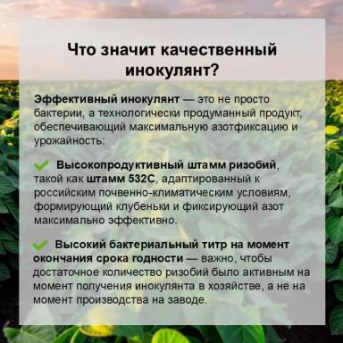 Соевый агрокалендарь