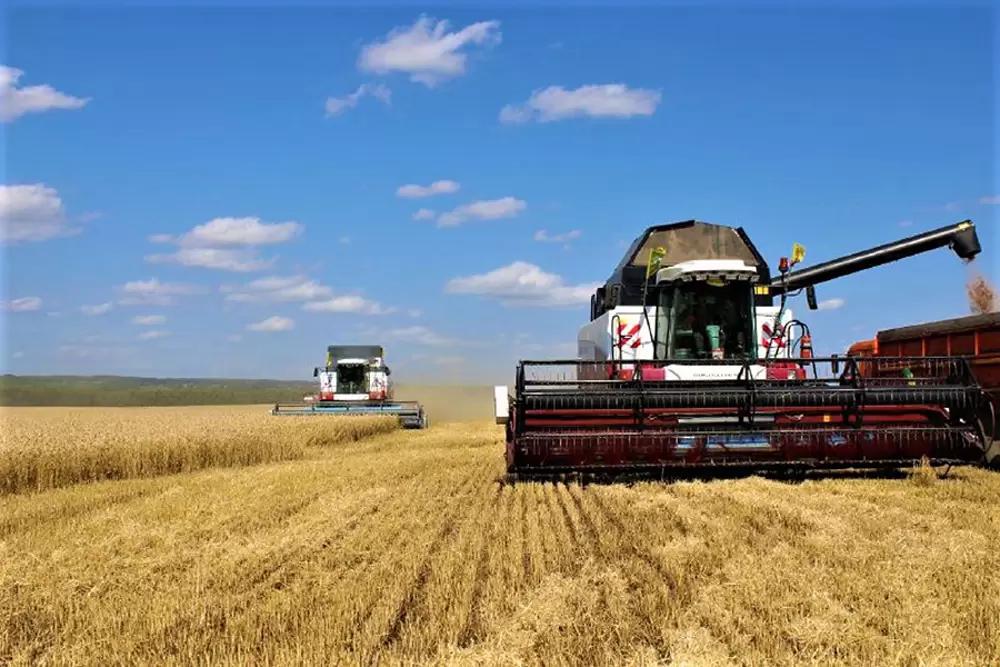 12% пшеницы и 15% ячменя в мире производится в России