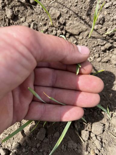 Приветствую 